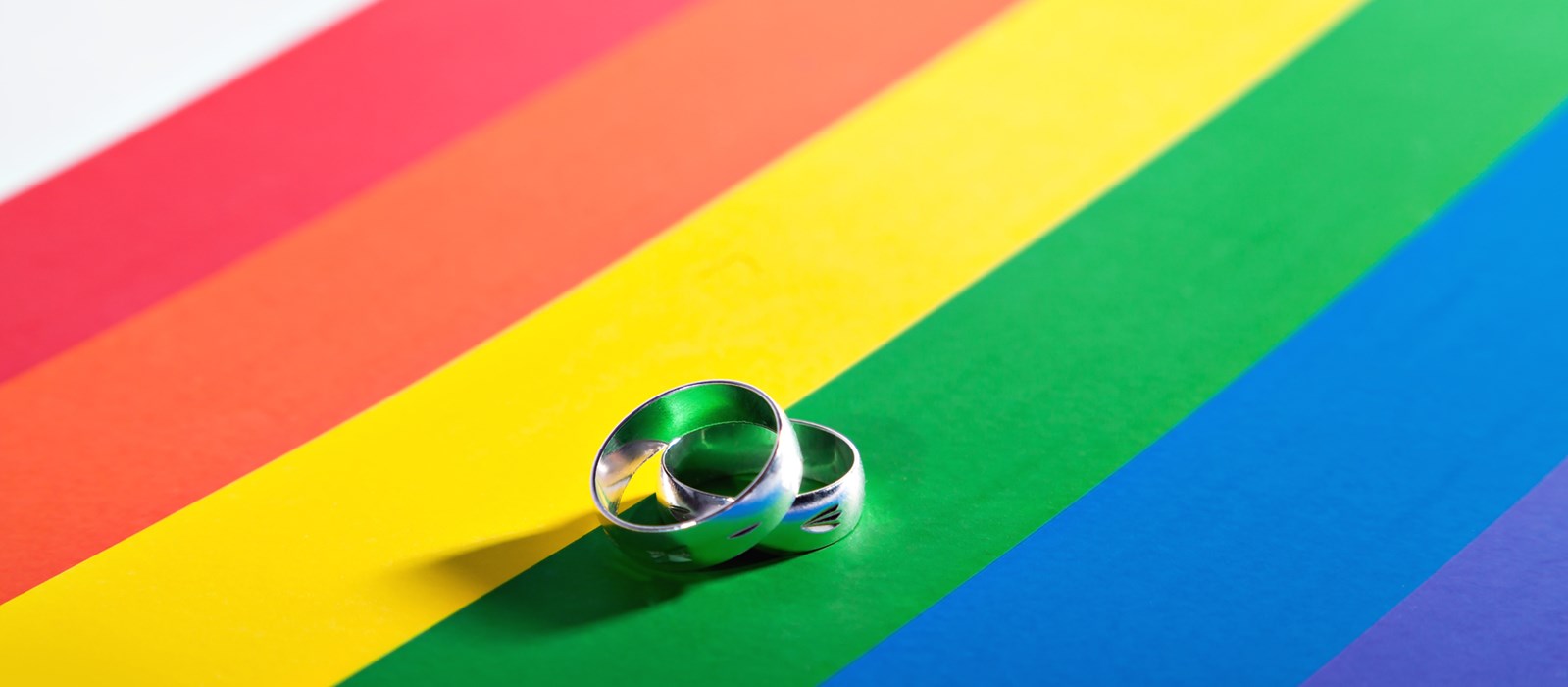 Bīskaps vēlas redzēt homoseksuālos pārus Katoļu baznīcas Pasaules ģimeņu saietā 2018. gadā Īrijā